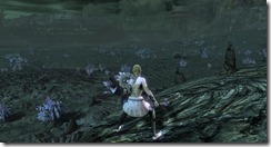 gw2-burstbubble-blind-guild-trek-4