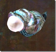 gw2-cooguloosh-focus-1 gw2-cooguloosh-focus-1