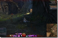 gw2-gallow-canyons-guild-trek-3