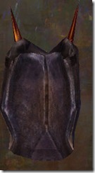 gw2-grimward-shield-1 gw2-grimward-shield-1