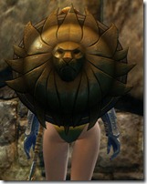 gw2-lionguard-shield-2 gw2-lionguard-shield-2