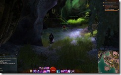 gw2-reef-drake-den-guild-trek-2
