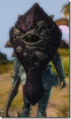 gw2-sclerite-shield gw2-sclerite-shield