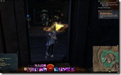 gw2-skalecatch-bucher-shop-guild-trek-2