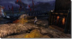 gw2-skalecatch-bucher-shop-guild-trek-4