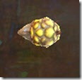 gw2-squeedily-spooch-focus-1 gw2-squeedily-spooch-focus-1