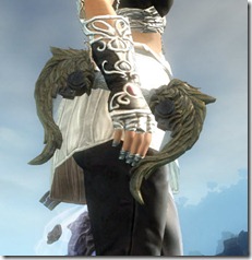 gw2-guild-focus-5 gw2-guild-focus-5