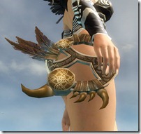 gw2-norn-focus gw2-norn-focus