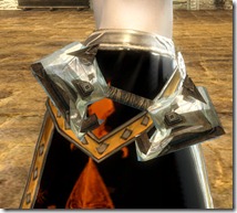gw2-kodan-focus-2 gw2-kodan-focus-2
