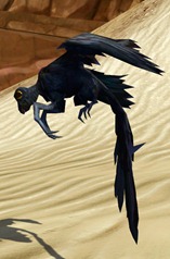 swtor-ebon-wing-flutterplume-pets-2 swtor-ebon-wing-flutterplume-pets-2