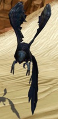 swtor-ebon-wing-flutterplume-pets swtor-ebon-wing-flutterplume-pets