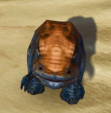 swtor-sublime-blurrg-pet-2 swtor-sublime-blurrg-pet-2