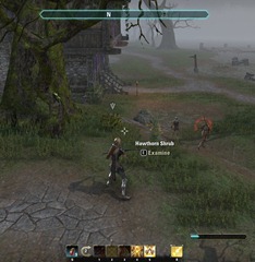 eso-the-ghosts-of-westtry-glenumbra-quest-3 eso-the-ghosts-of-westtry-glenumbra-quest-3