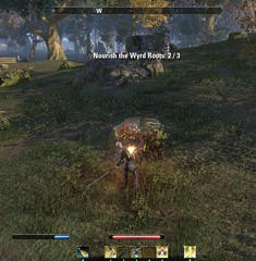 eso-the-wyrd-tree's-roots-glenumbra-quest eso-the-wyrd-tree's-roots-glenumbra-quest