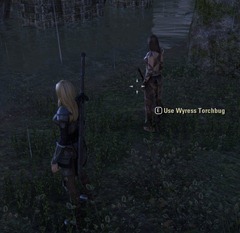 eso-turning-of-the-trees-daggerfall-glenumbra-quest-3 eso-turning-of-the-trees-daggerfall-glenumbra-quest-3