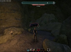 eso-beasts-of-falinesti-greenshade-quest-guide-3 eso-beasts-of-falinesti-greenshade-quest-guide-3