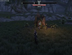 eso-hunting-the-wasp-greenshade-quest-guide-2 eso-hunting-the-wasp-greenshade-quest-guide-2