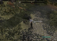 eso-lorebooks-legends-of-nirn-tamrielic-artifacts-part-three-aldmeri eso-lorebooks-legends-of-nirn-tamrielic-artifacts-part-three-aldmeri