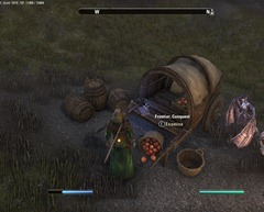 eso-lorebooks-tamriel-history-frontier-conquest-ebonheart-2 eso-lorebooks-tamriel-history-frontier-conquest-ebonheart-2