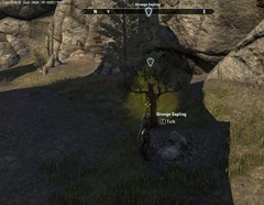 eso-the-price-of-longevity-rivenspire-quest-guide eso-the-price-of-longevity-rivenspire-quest-guide