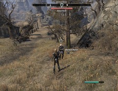 eso-under-siege-rivenspire-quest-guide eso-under-siege-rivenspire-quest-guide