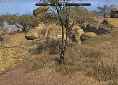 eso-a-traitor's-luck-reaper's-march-quest-guide