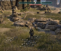 eso-snake-in-the-sands-alik'r-desert-quest-guide-3