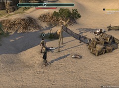 eso-trapped-in-the-bluffs-alik'r-desert-quest-guide