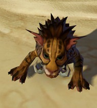 swtor-desert-nekarr-cat-pet swtor-desert-nekarr-cat-pet