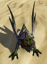 swtor-frosted-vrake-pet swtor-frosted-vrake-pet