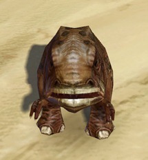 swtor-lurker-blurrg-pet swtor-lurker-blurrg-pet