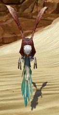 swtor-paradise-flutterplume-pet swtor-paradise-flutterplume-pet