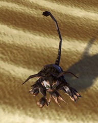 swtor-sablefur-kowakian-monkey-lizard-pet swtor-sablefur-kowakian-monkey-lizard-pet