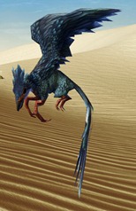 swtor-stormcloud-flutterplume-pet