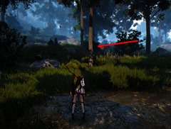 bdo-pine-sap-location-2