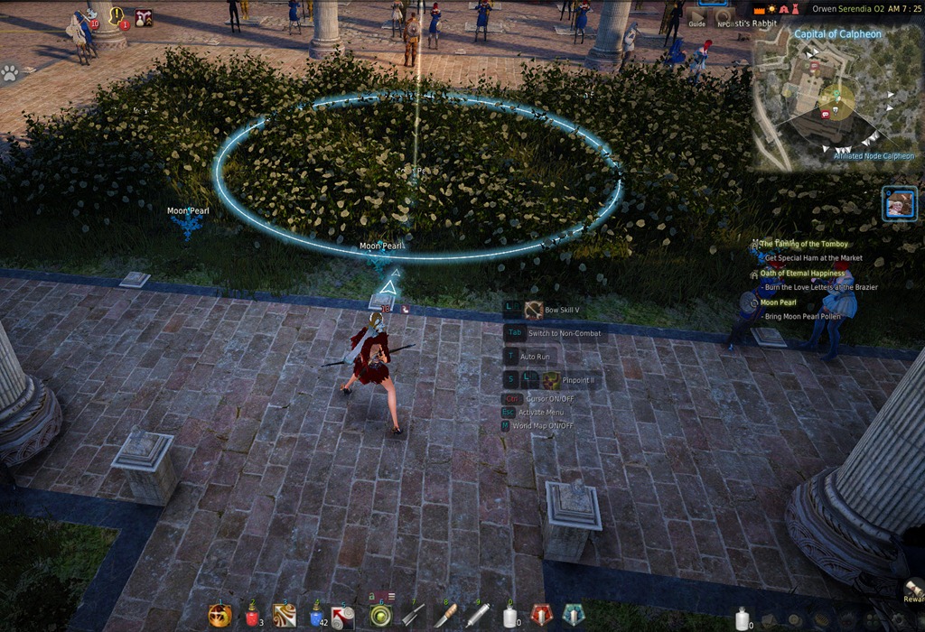 Black Desert Calpheon Contribution Dailies Guide - MMO Guides