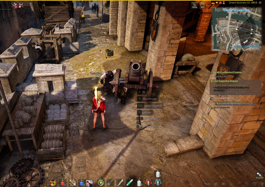 Black Desert Calpheon Contribution Dailies Guide - MMO Guides