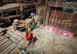 bdo-where's-wallio-2