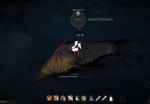 bdo-hunting-life-skill-quest-23