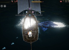 bdo-whale-hunting-guide-2