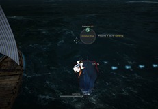 bdo-whale-hunting-guide-3