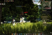 bdo-fairy-companion-guide-5