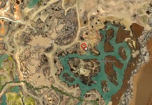 gw2-roller-beetle-guide-45