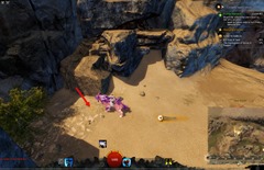 gw2-in-a-grain-of-sand-21