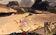 gw2-in-a-grain-of-sand-23