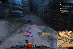 gw2-in-a-grain-of-sand-5