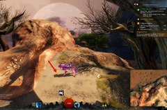 gw2-in-a-grain-of-sand-9