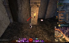 gw2-memorabilia-collection-guide-16