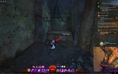 gw2-memorabilia-collection-guide-9