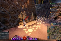 gw2-poster-child-collection-guide-13